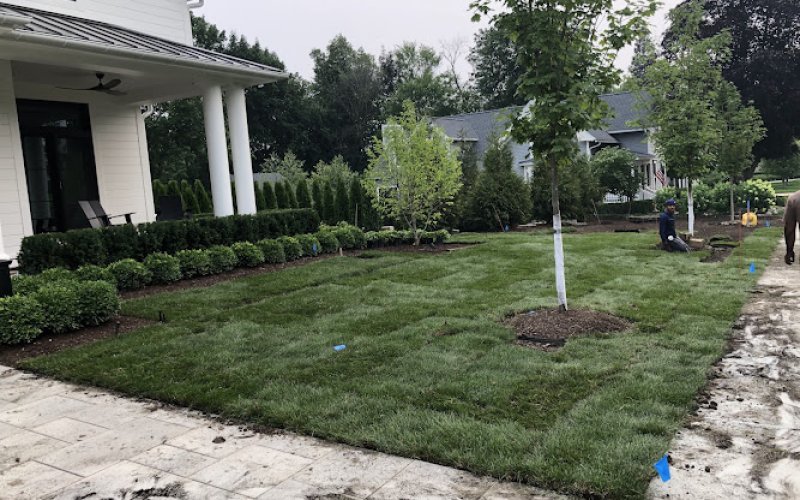 Grow Garden and Landscape Design