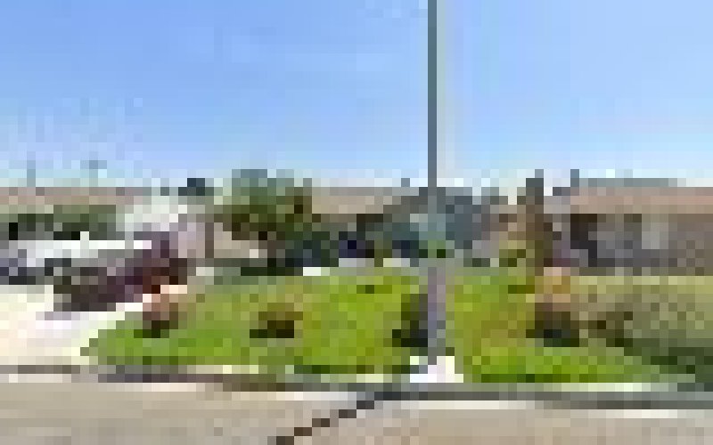 Cesar Cuevas Lawn Care