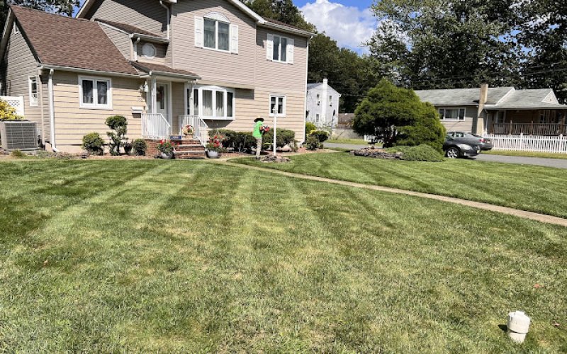 No Limit Landscape LLC