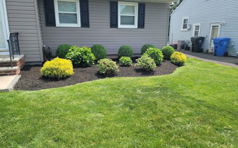 Ozzy and Son Landscaping