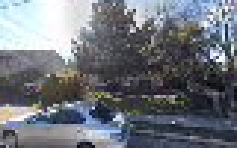Prime Cut Landscaping Inc