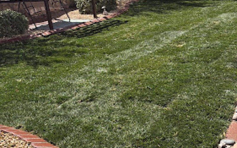 Complete Lawn Care