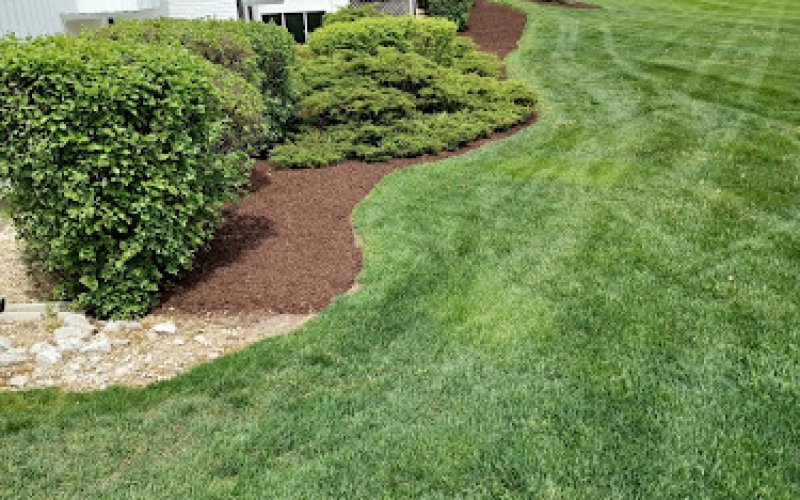 Eddy's Lawn Care