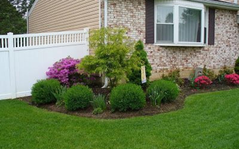 Progreso Landscaping