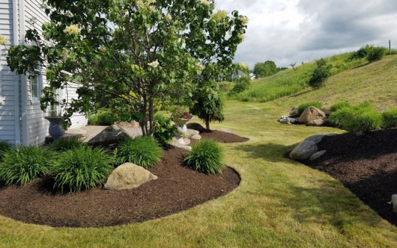 Elegant Landscaping
