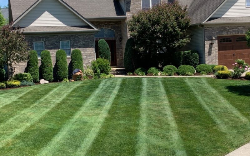 OR landscaping