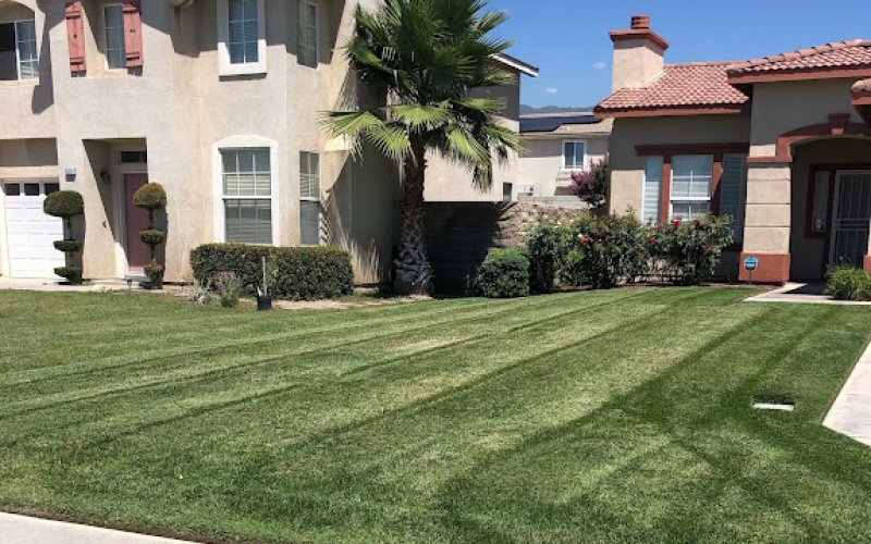 Pure Landscaping