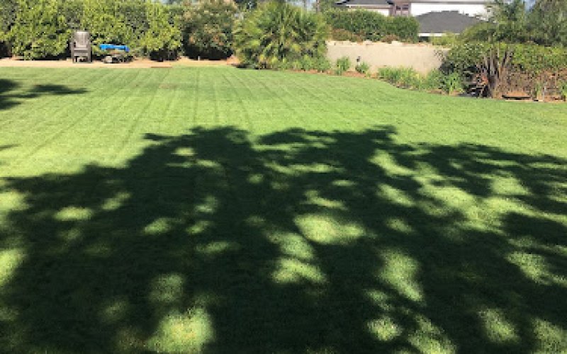 Southern California Landscape