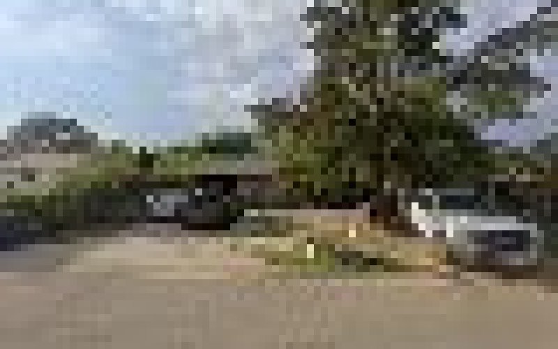 A&C LAWN AND LANDSCAPE SERVICE