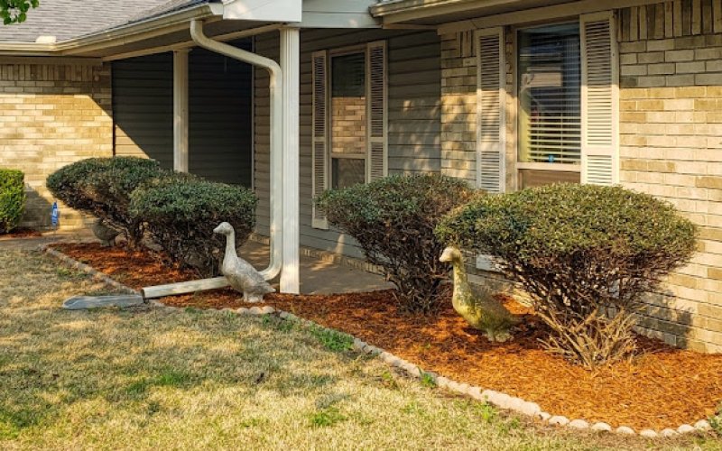 Riverview Turfworks | Fort Smith Landscaping & Outdoor Living