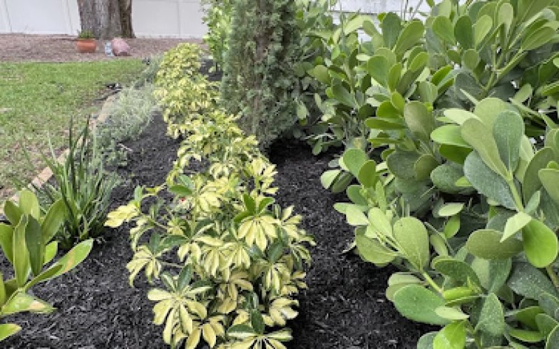 HF Landscape Design Fort Worth