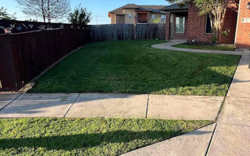 Lawn Love - Fort Worth