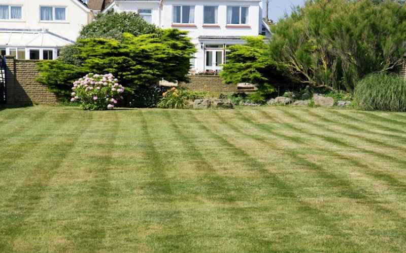 Castillo Landscaping Services