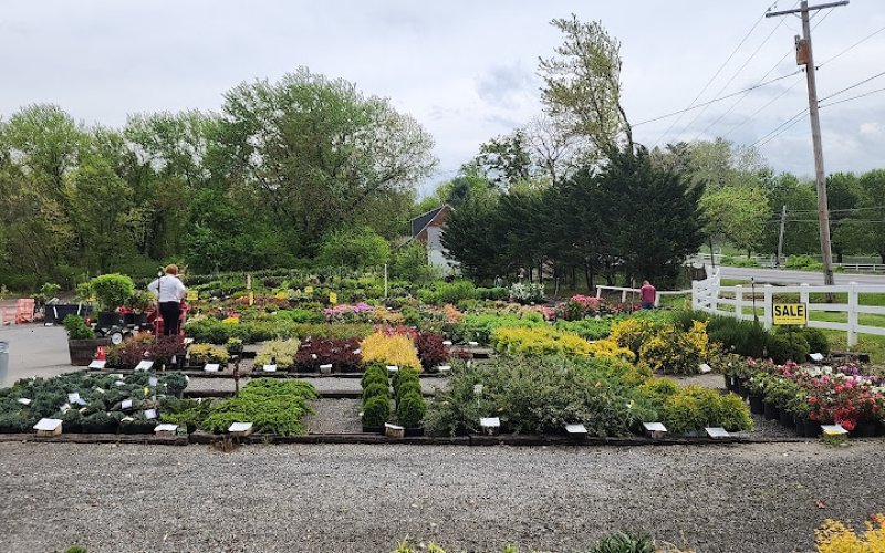 Meadows Farms Nurseries and Landscape