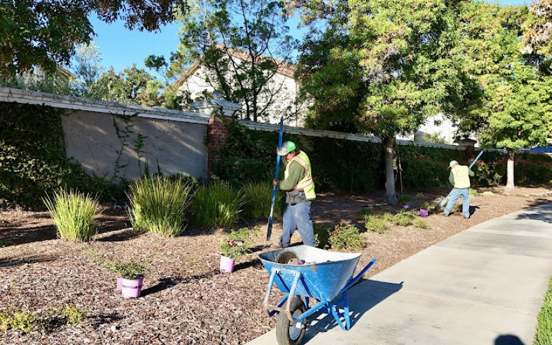 Malagon Legacy Landscaping