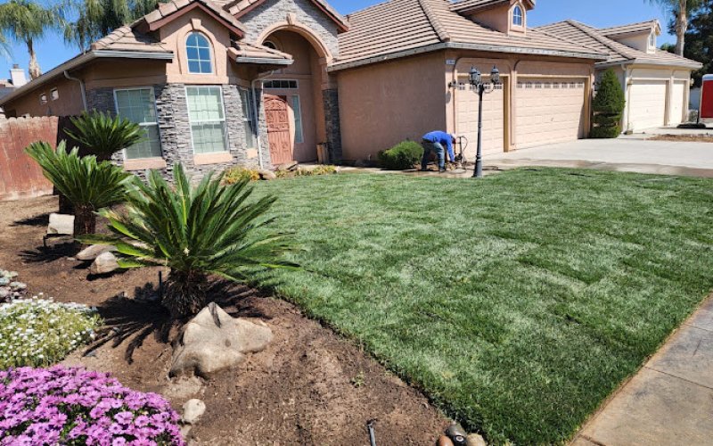 Mundo's Landscaping & Gardening service