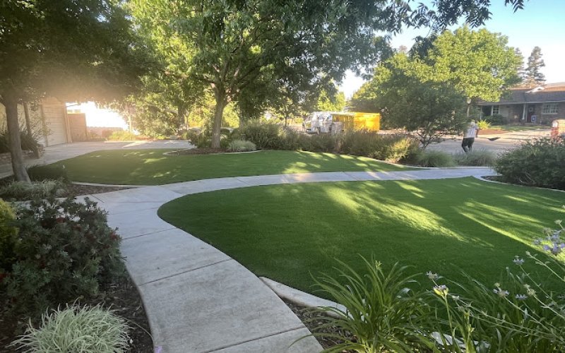 Picture Perfect Lawn