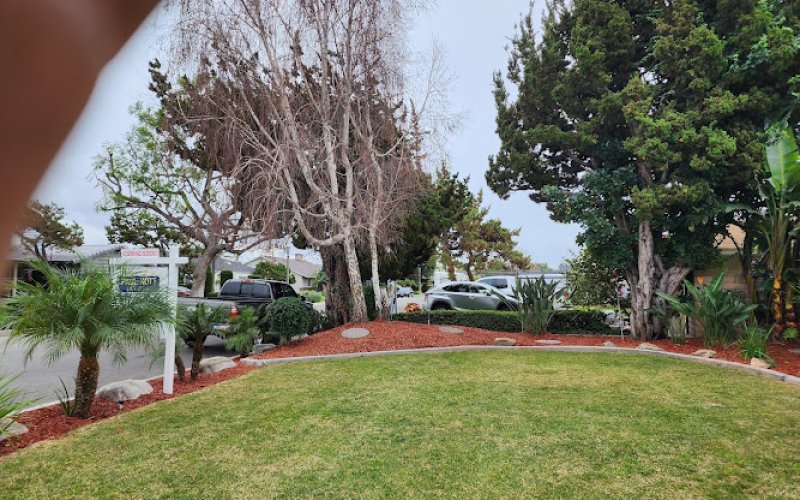 SG Gardening Landscape and Tree Services