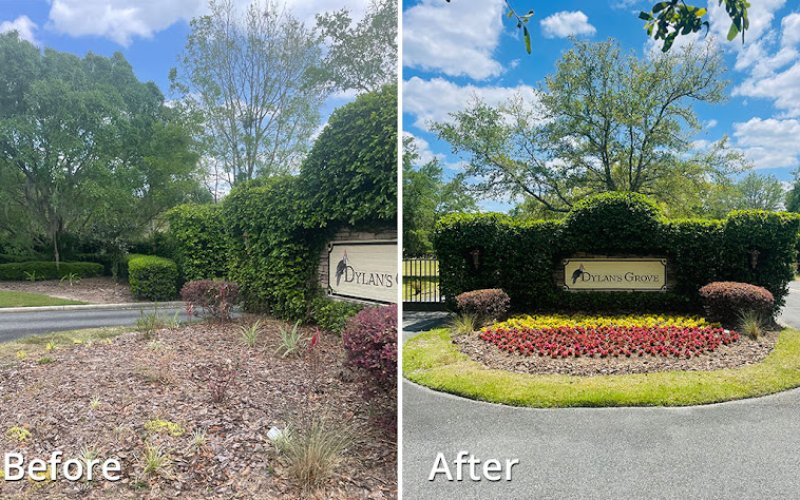 Allegiance Landscaping