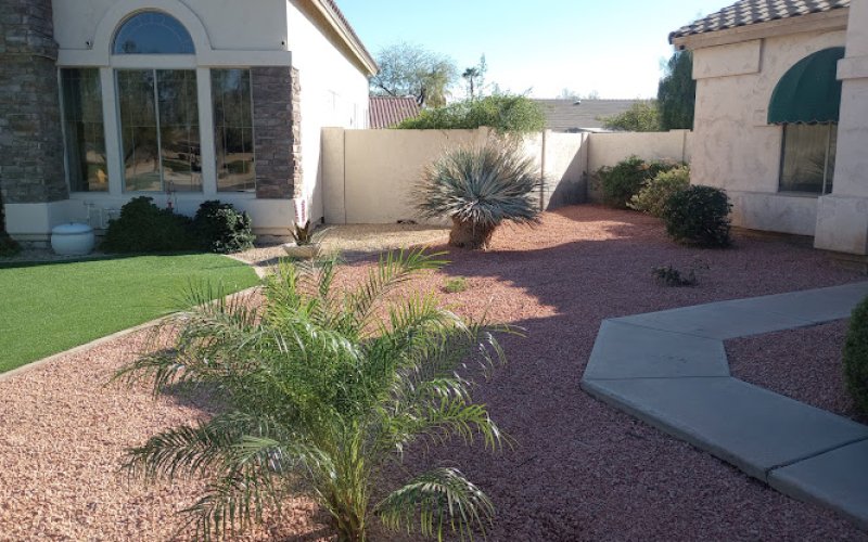 Risen kings tree, service & landscape co. LLC.