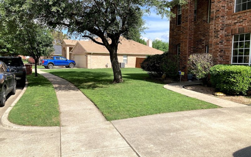 Los Mowers Lawn Care LLC