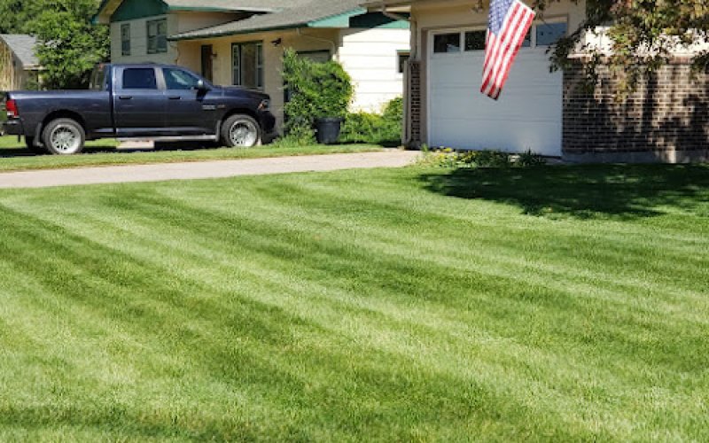 Flores lawn & landscaping services