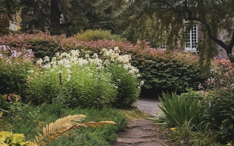 Greensboro Landscaping