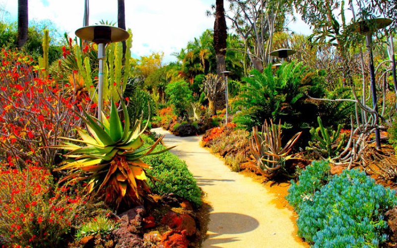 Landscapers Supply and Ace Hardware of Greenville