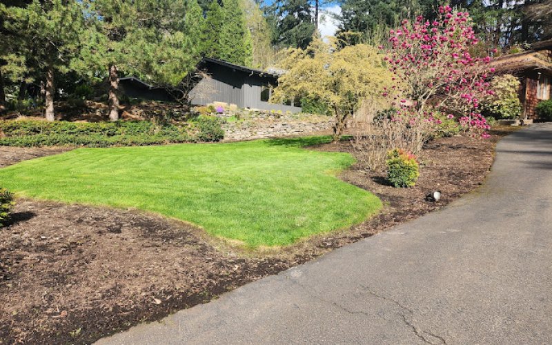 Lobos Landscaping and Maintenance LLC.