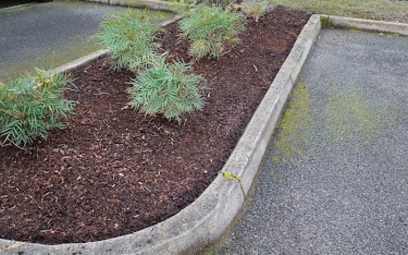 Pacific Landscape Management