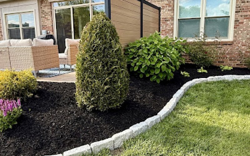 The BackyarDream Landscaping