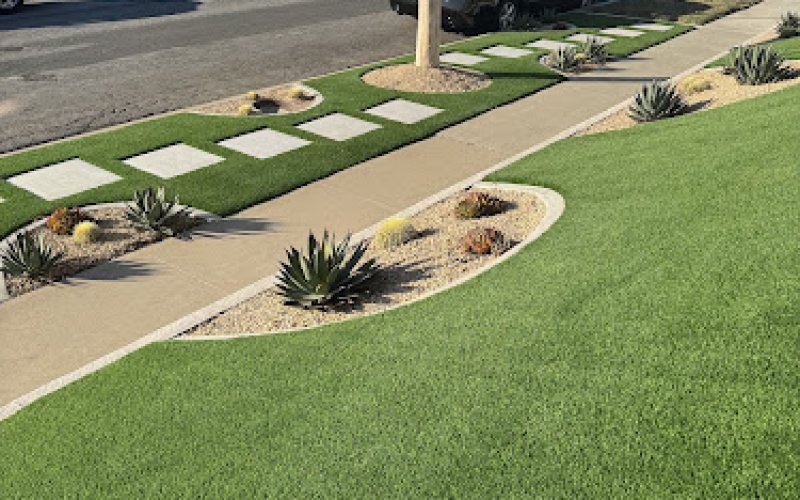 Desert Turf