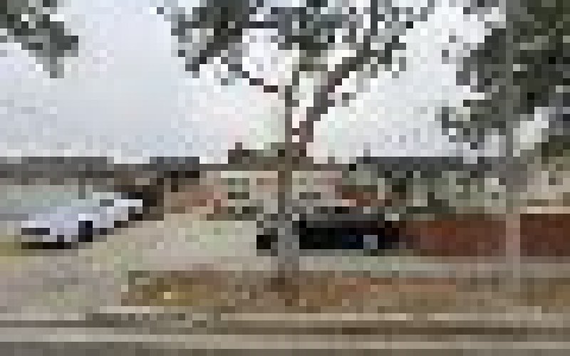 Lantana Landscaping Services