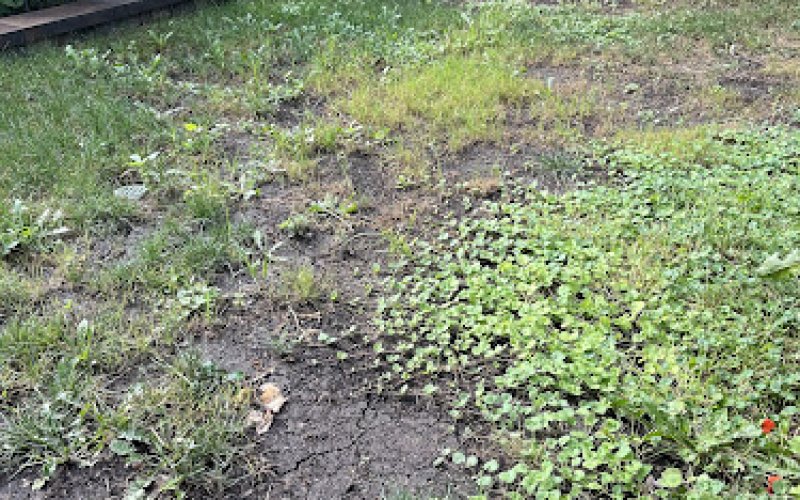 Duke's Landscape Services