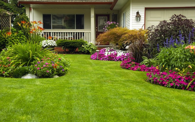 Murray's Lawn & Tree