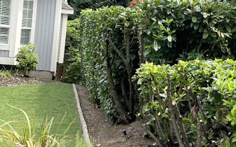 Ataraxy Landscaping and Maintenance LLC