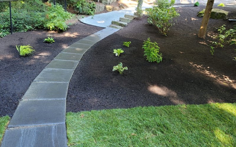 New Horizons Landscape llc