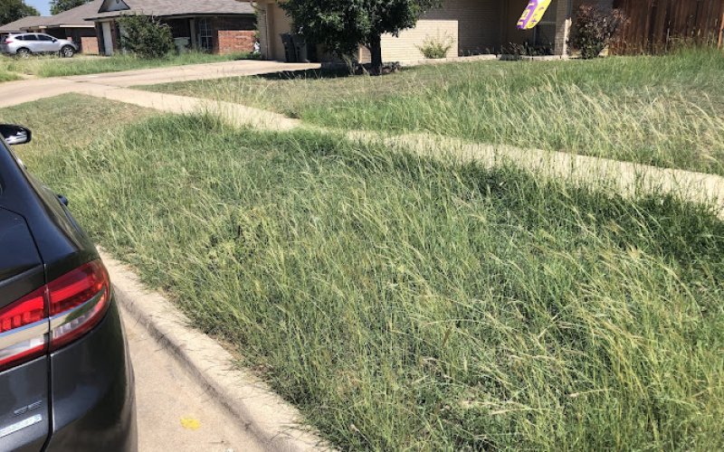 A+ Lawn Service