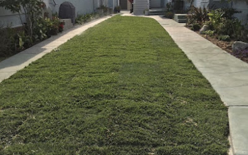 View Quality Landscaping Company