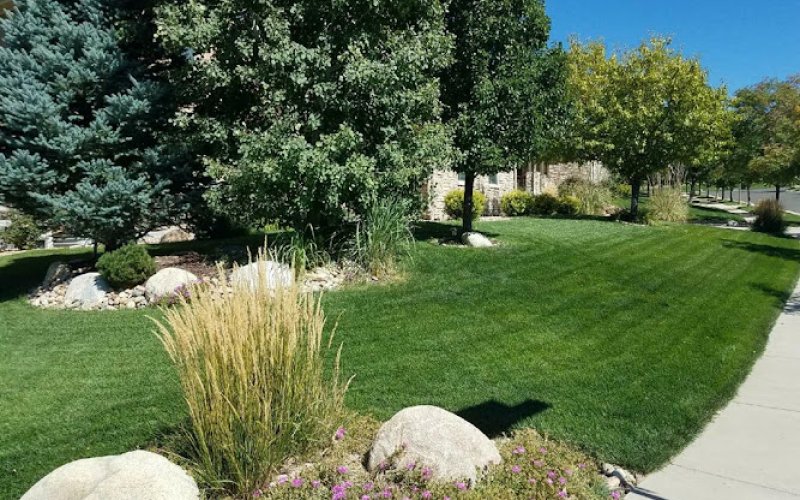 Lawn Doctor
