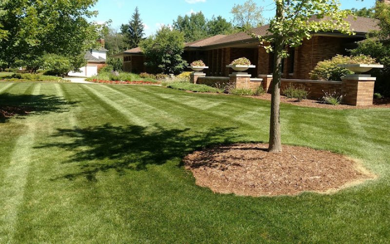 All Terra Landscape Services LLC