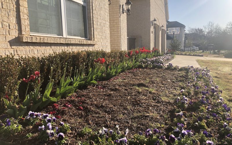 TLC The Landscape Company, LLC