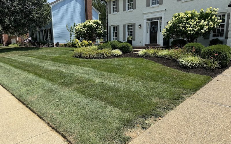 Diversified Lawn and Landscape