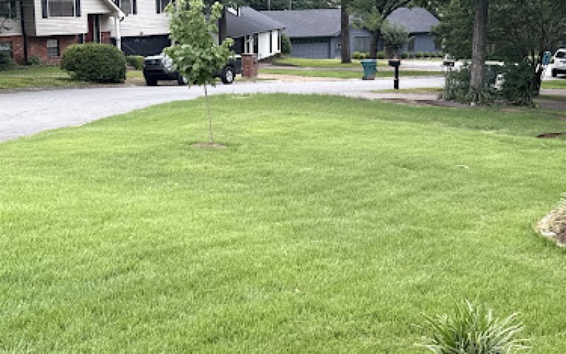 Lawn Doctor of Little Rock