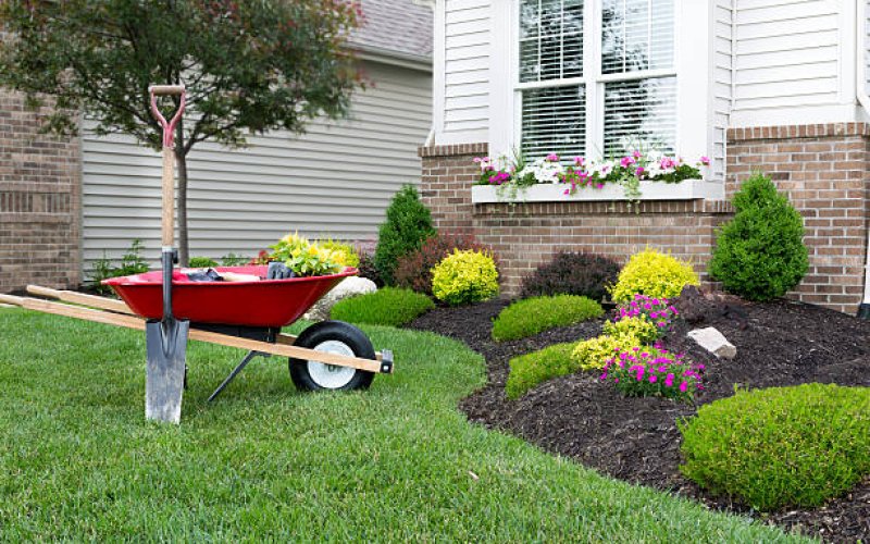 Landscaping Lubbock Pro