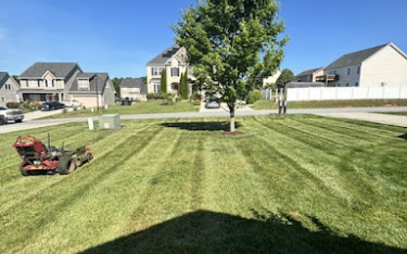 The Better Edge Lawn Care