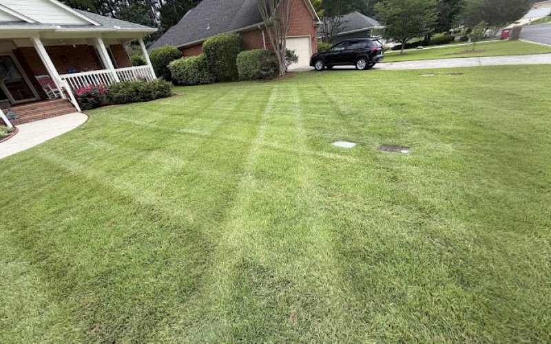 Signature Handy & Lawncare Services
