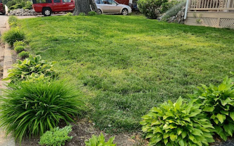 Highest Quality Lawn & Pest Inc.