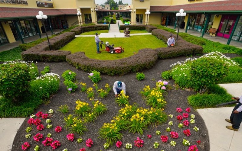 U.S. Lawns - McAllen TX