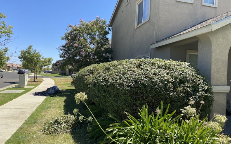 Just-in-Time Sprinkler Repair and Handy Man Service